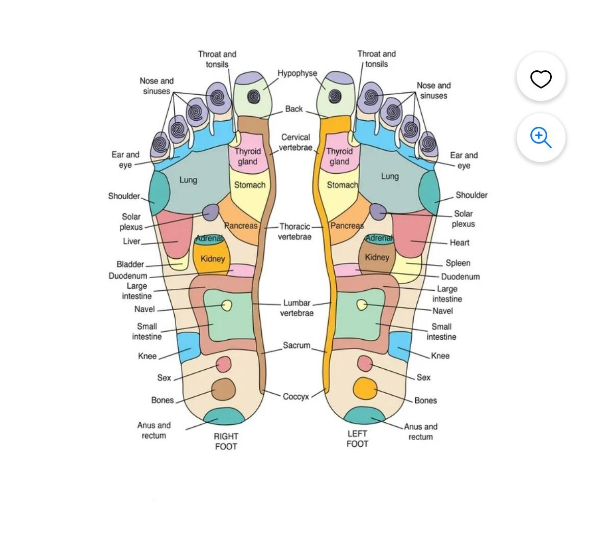  Reflexology